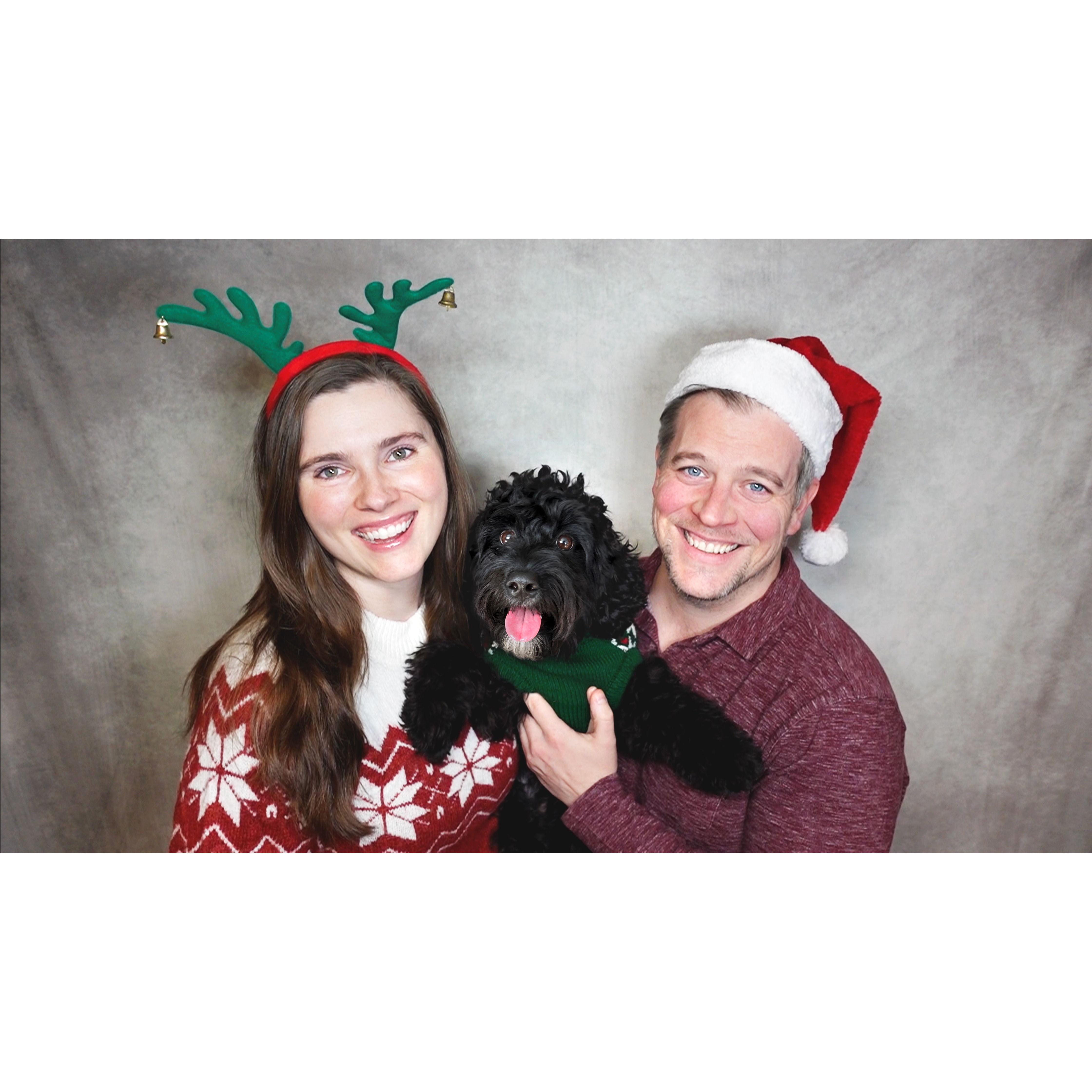 Here comes Santa Paws