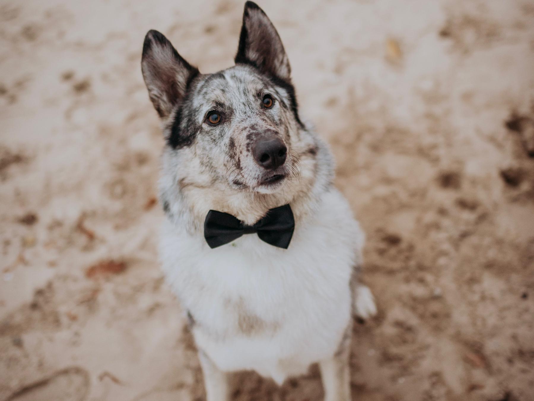 The Wedding Website of Brianna Ross and Kyle Christensen