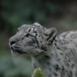 Roger Williams Park Zoo