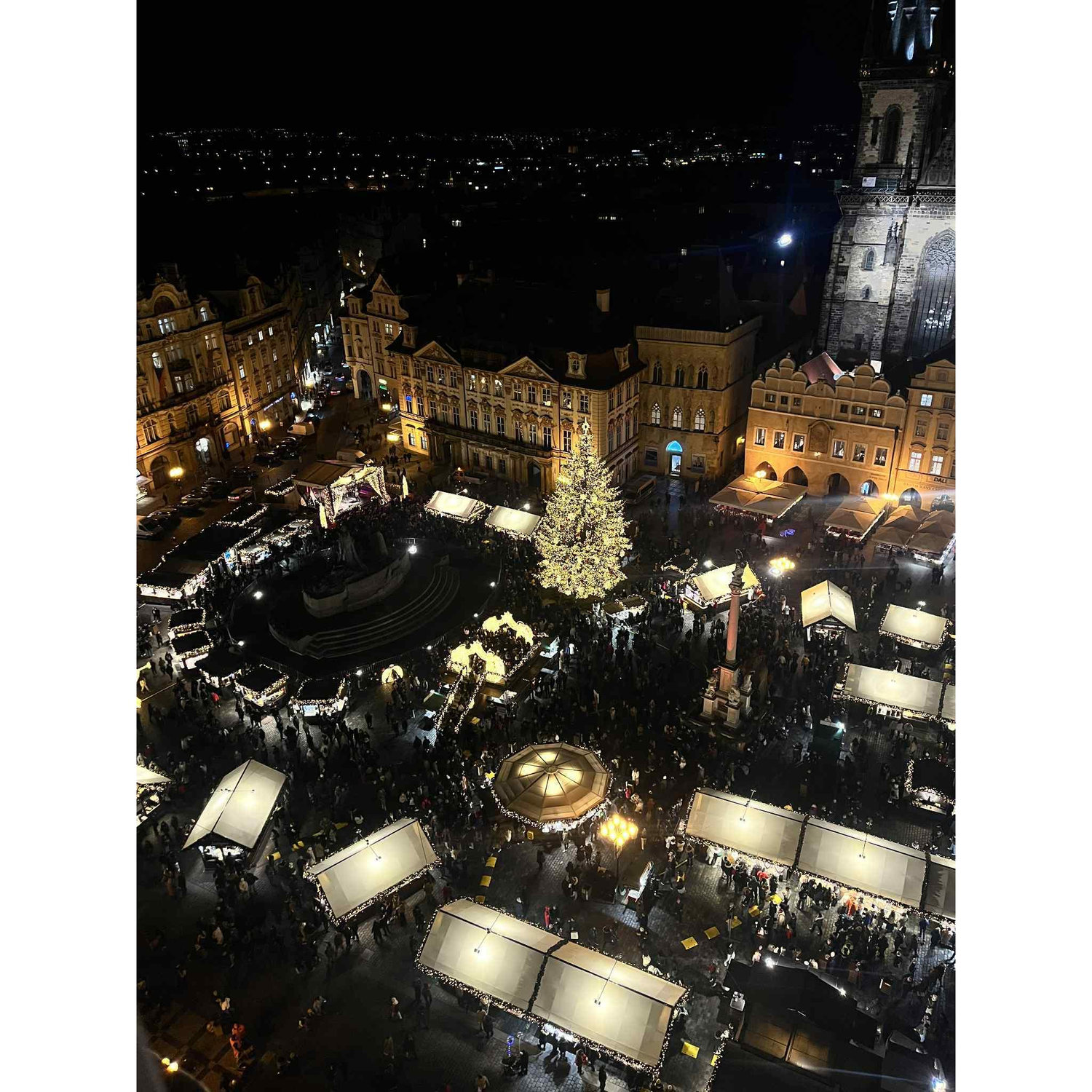 The proposal view!