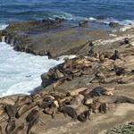 La Jolla Cove
