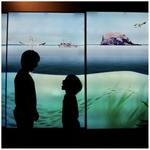 Scottish Seabird Centre