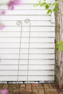 Fiddlehead Iron Stake