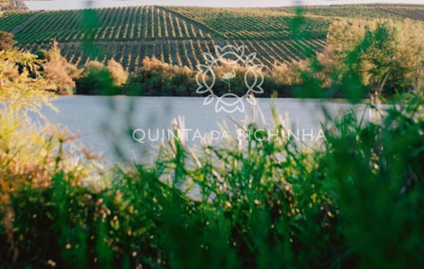 The Wedding Website of Lauren Bledsoe and Liam van der Merwe