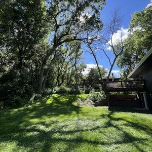Tree Removal at Our Home