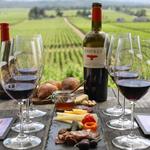 Wine Tasting throughout Napa