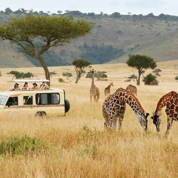 Honeymoon Fund - Tanzania Safari