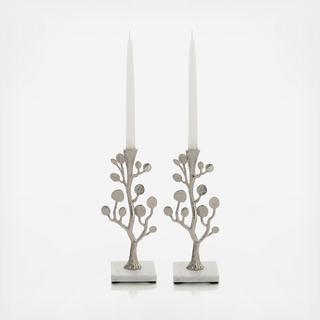 Botanical Leaf Candleholders