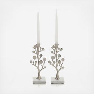 Botanical Leaf Candleholders