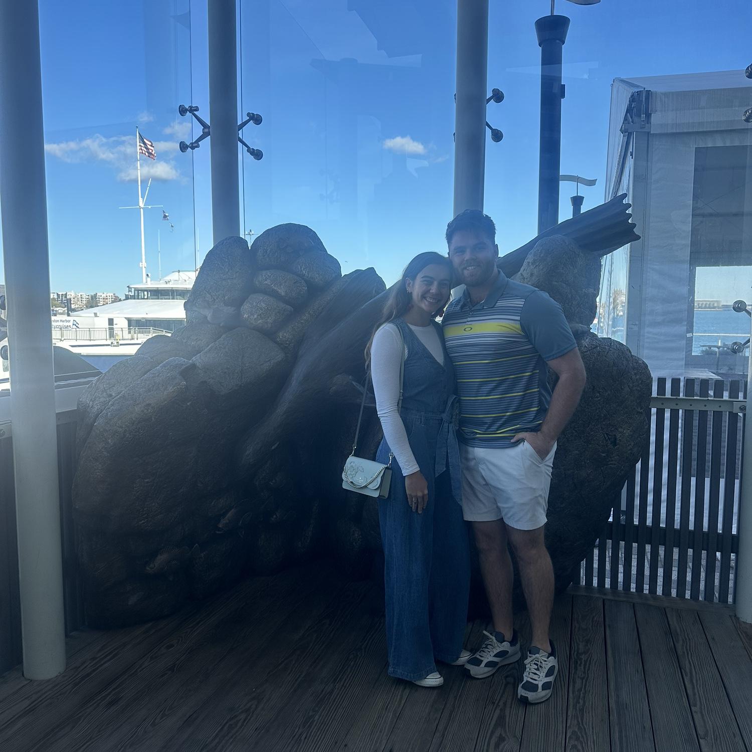 Boston Aquarium