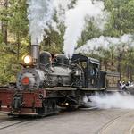 Yosemite Mountain Sugar Pine Railroad