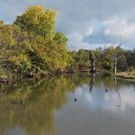 Great Plains Nature Center