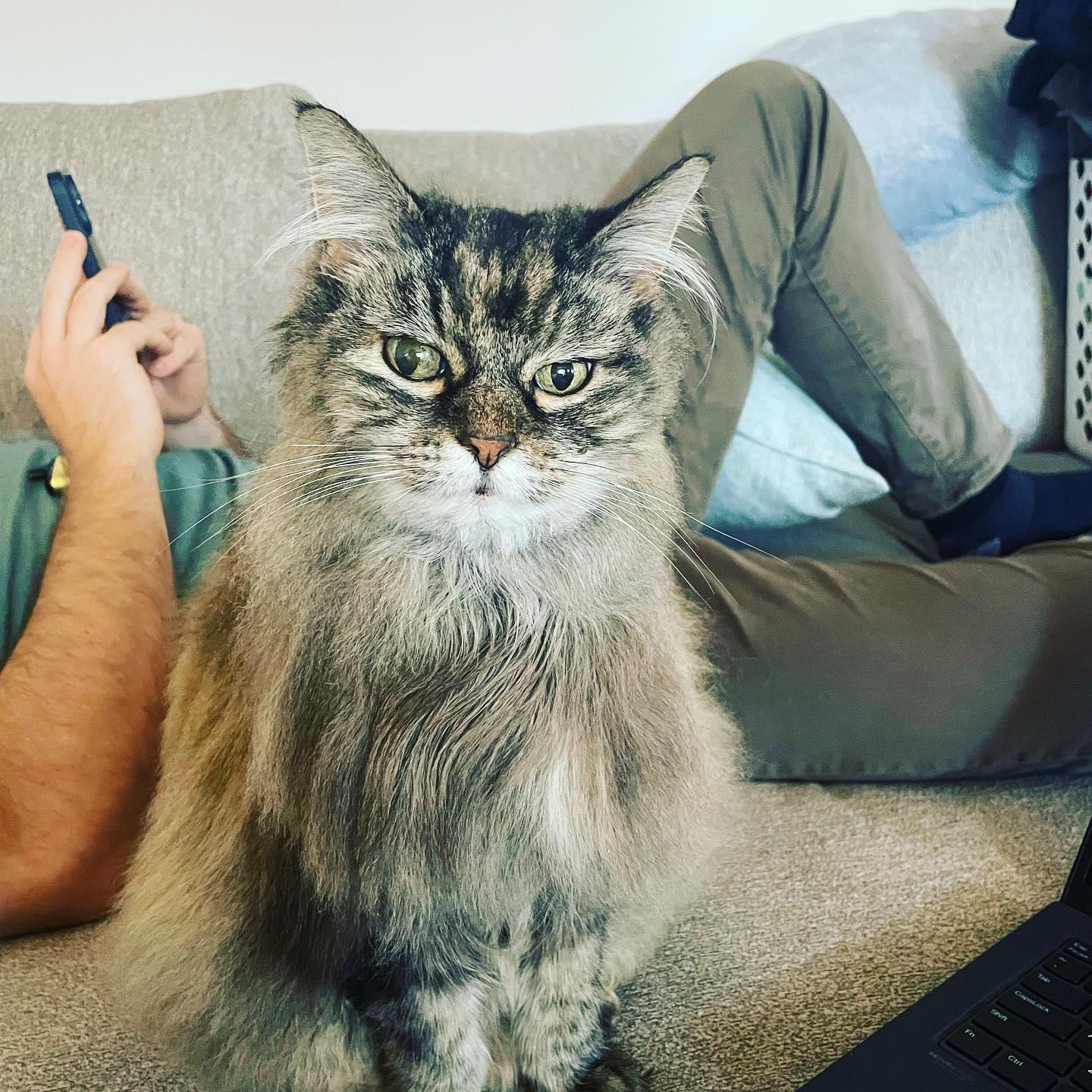 Burrito sitting and judging us.