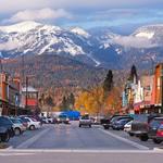 Whitefish