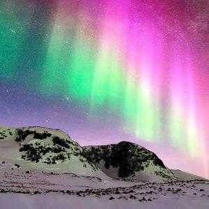 Northern Lights Guided Tour in Lapland, Finland