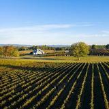 Boxwood Estate Winery