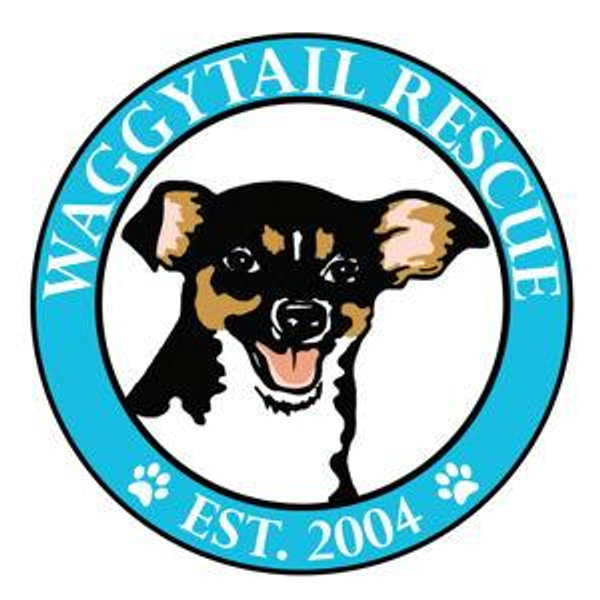 Donate to Waggytail Rescue