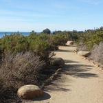 Carpinteria Bluffs Nature Preserve