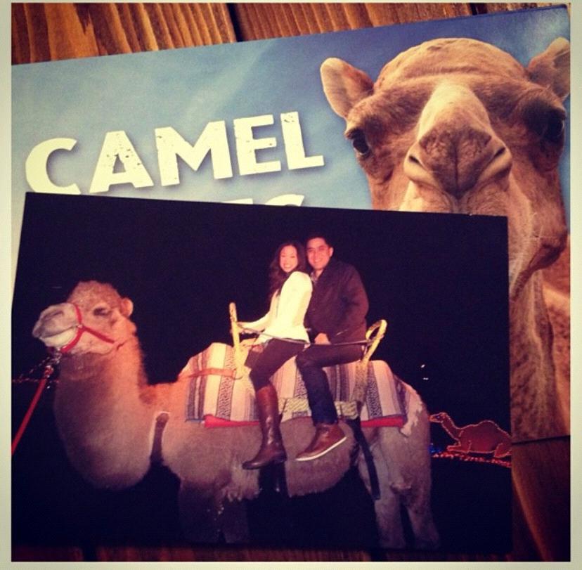 On our very first date we rode a camel and pet some baby stingrays