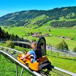 Alpine Slide