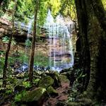 Watagans National Park