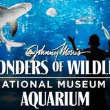 Wonders Of Wildlife National Museum & Aquarium