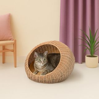 Fiora Modern Circular Wicker Pet Bed with Cushion