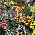 West Bend Farmers Market