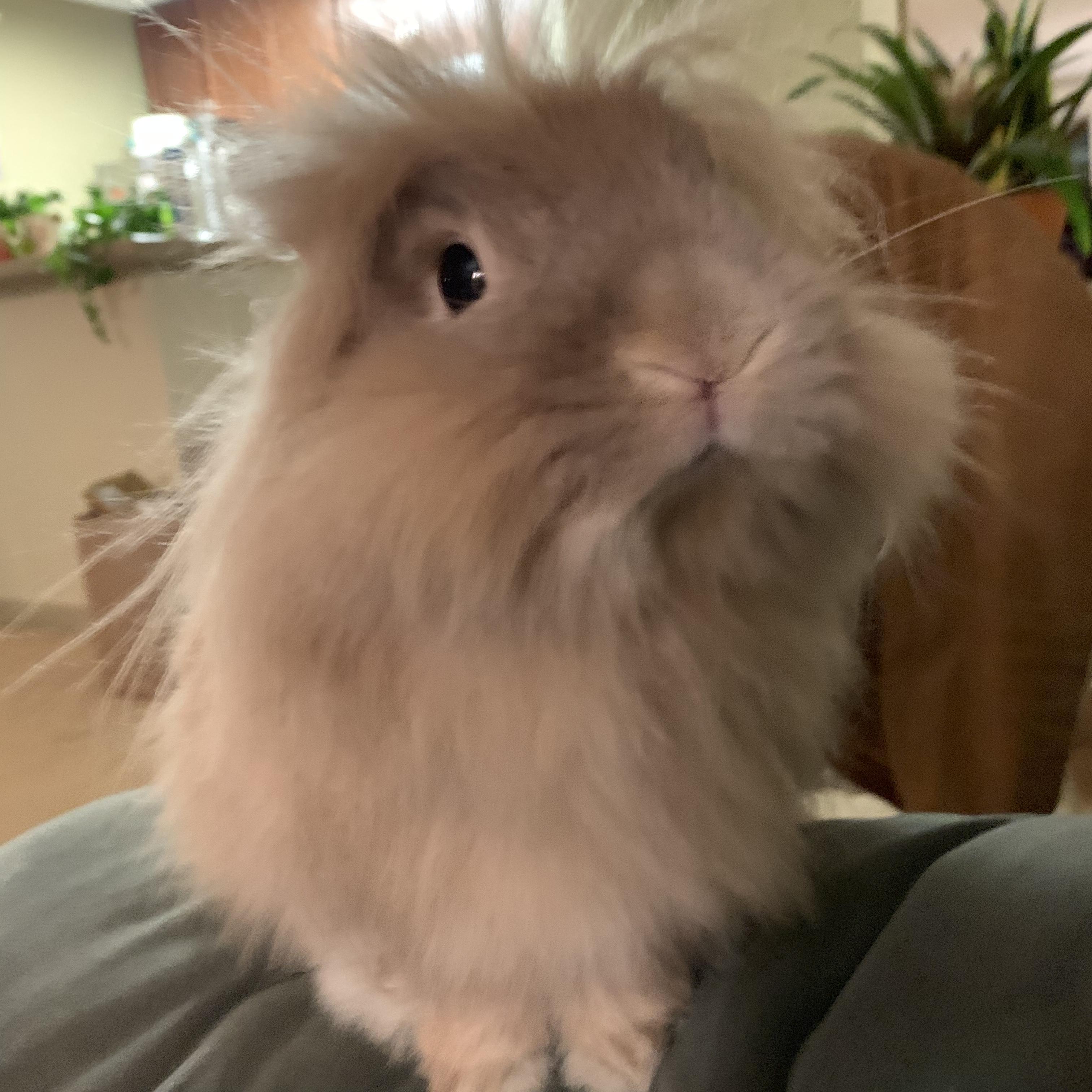In September, we added Fabio to the family.