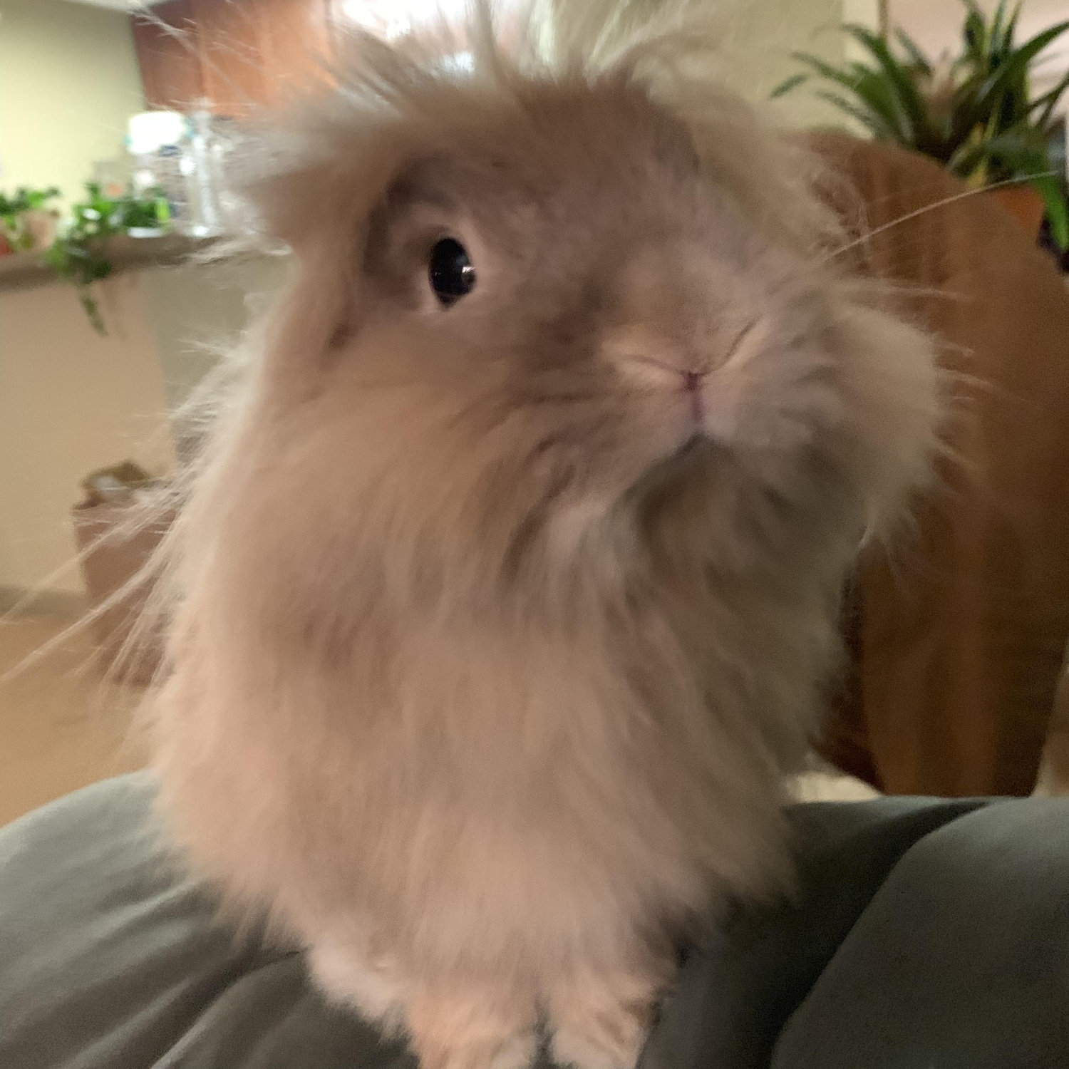 In September, we added Fabio to the family.