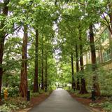 Scott Arboretum of Swarthmore College