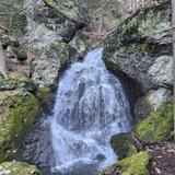 Mt. Toby Trail