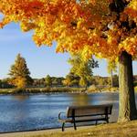 Stony Creek Metropark