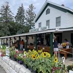 Briermere Farms