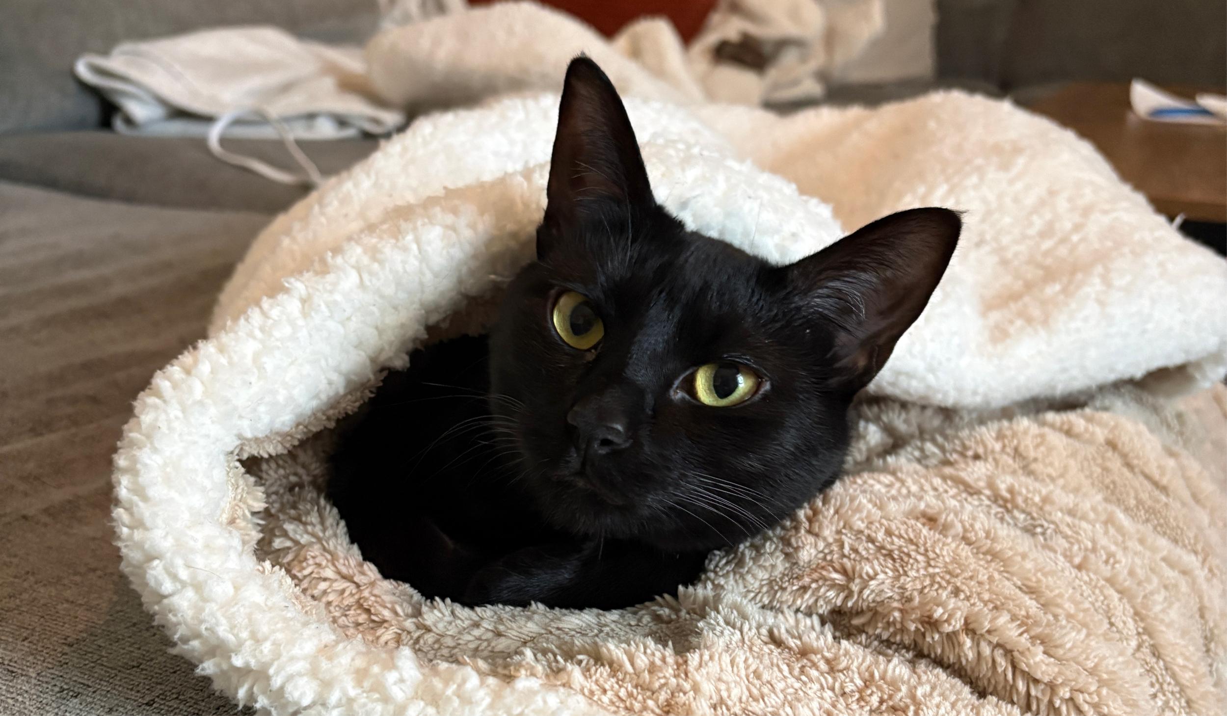 The Wedding Website of Georgia Boley and Dylan Bowie