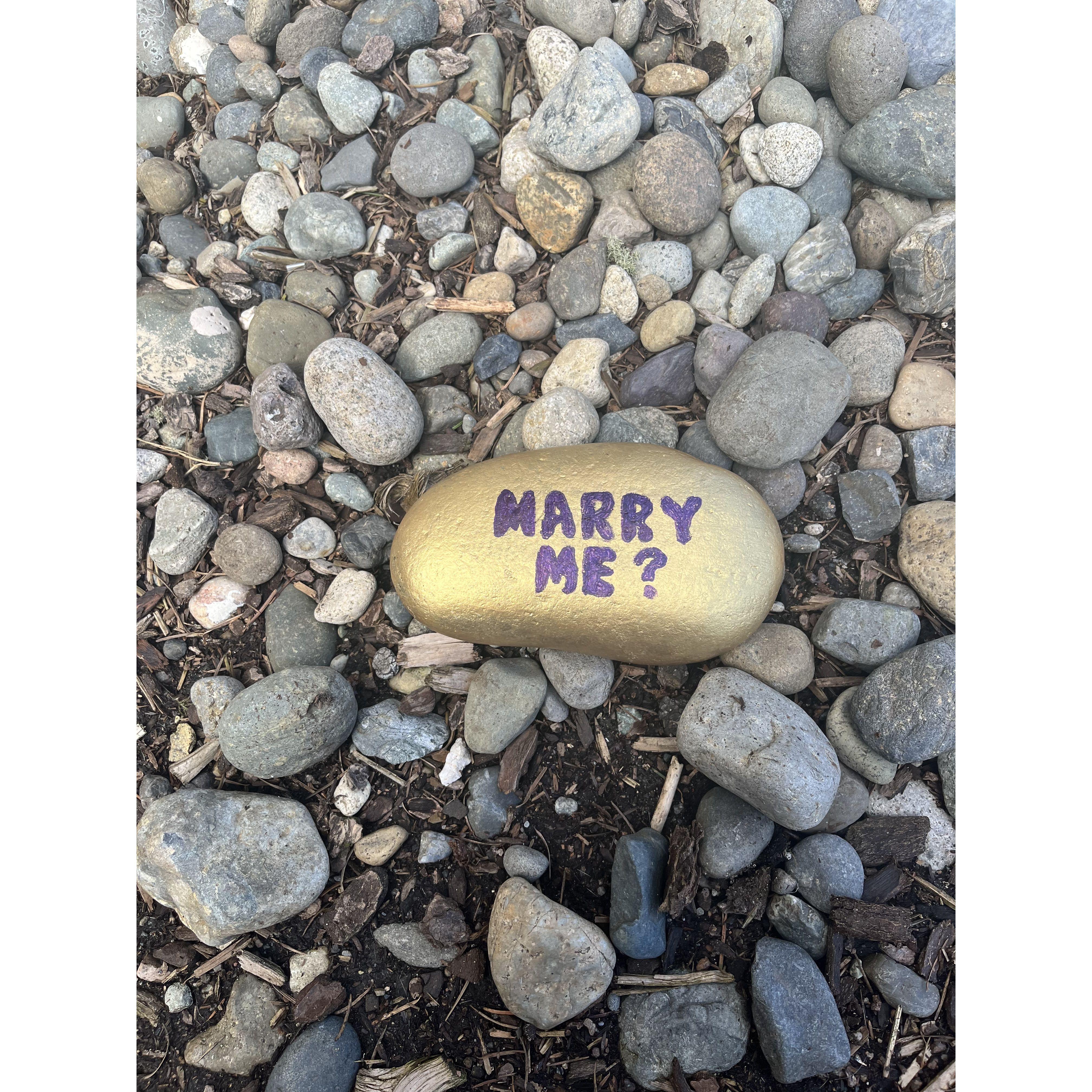 The beautiful proposal rock, from Justin's parent's yard and lovingly painted by his mom.
