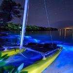 Bahía Bioluminiscente