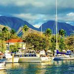 Lahaina Harbor