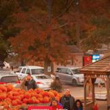 Farms & Other Classic Fall Attractions