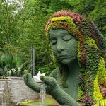 Atlanta Botanical Garden