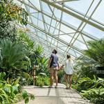 Foellinger-Freimann Botanical Conservatory