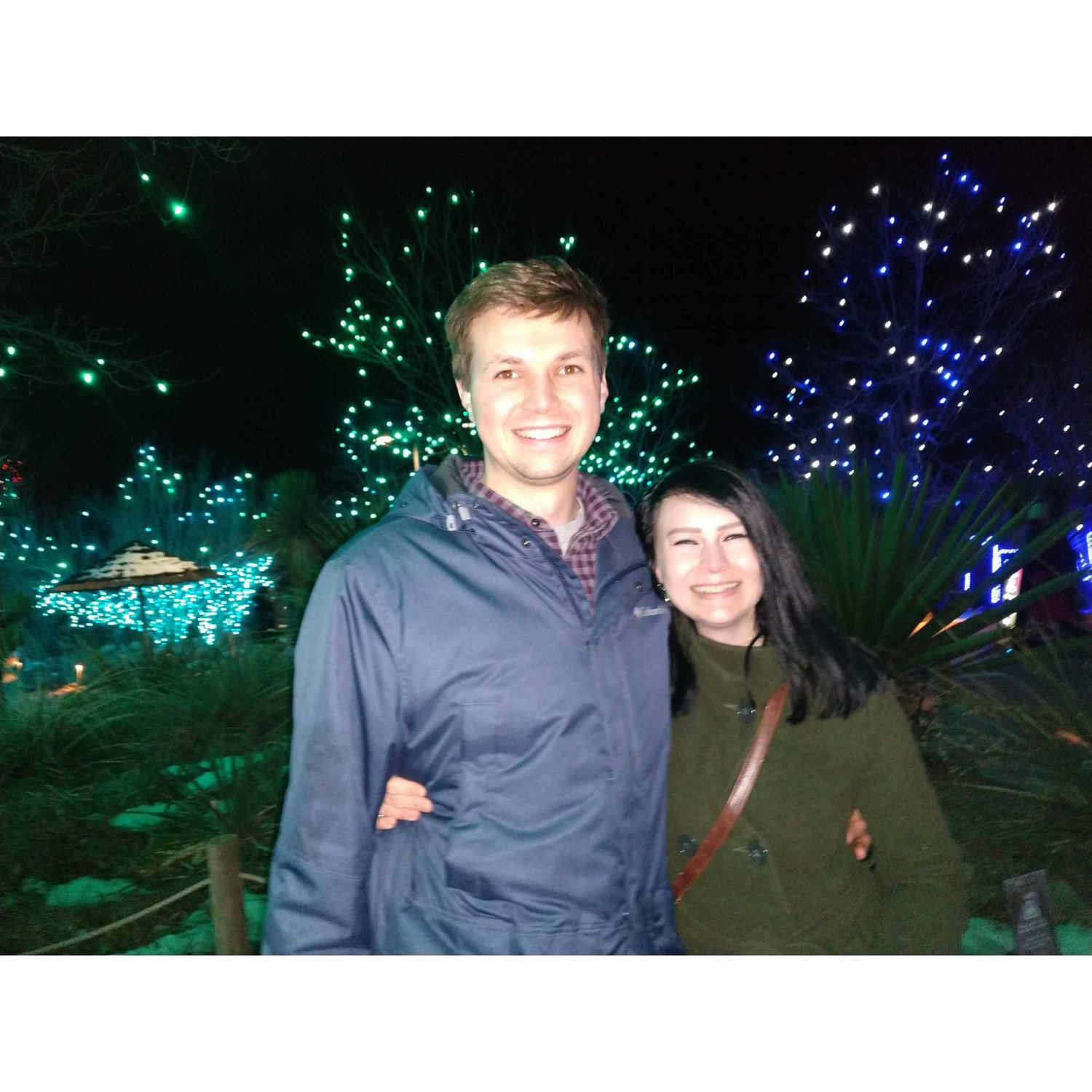 Denver Zoo Lights, December 2023