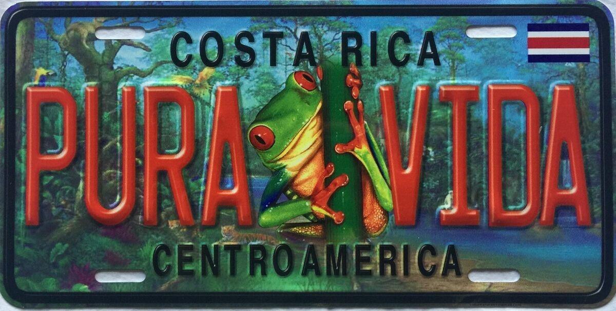 The Wedding Website of Chelsea Meiners and Guillermo Casasola Orozco