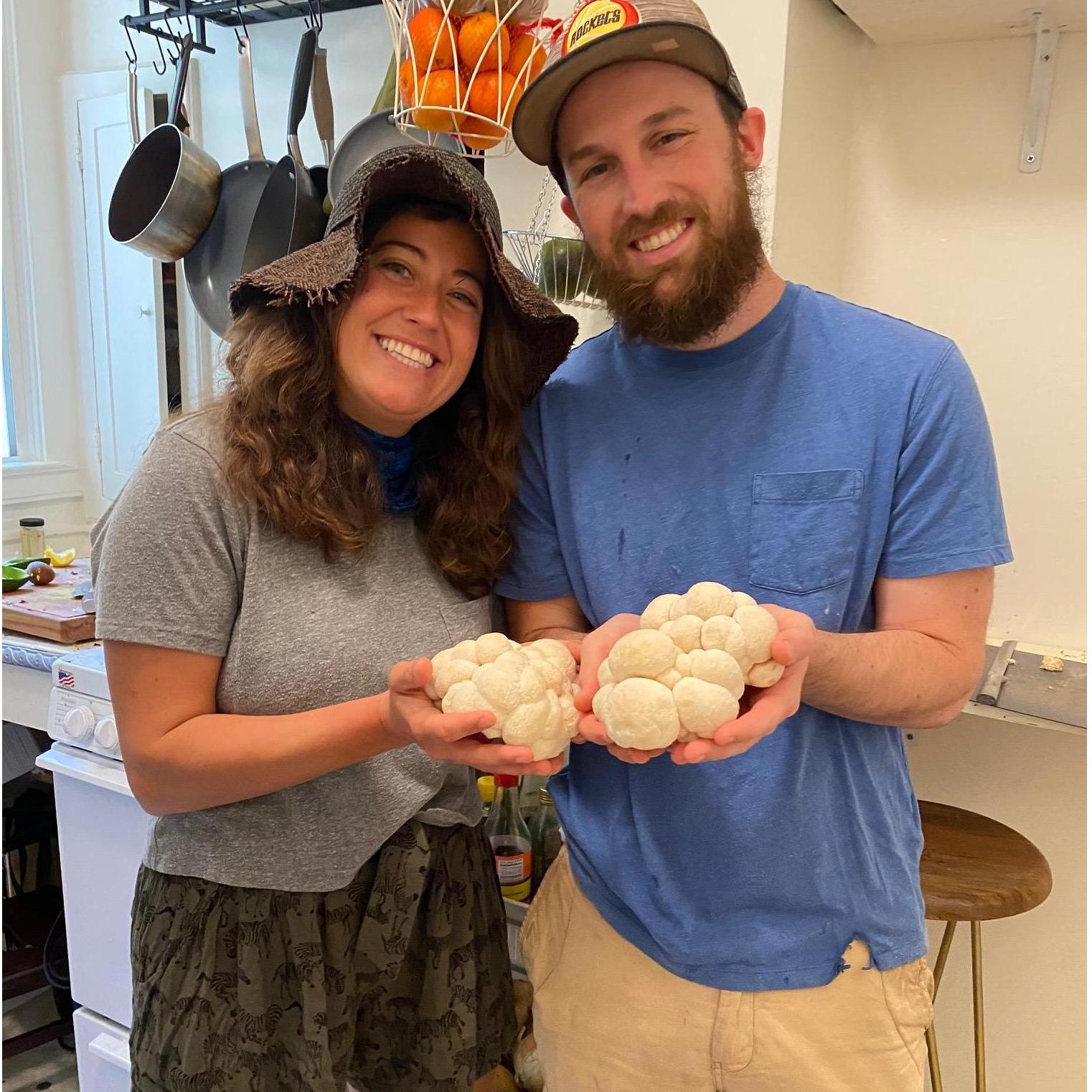 One of our favorite mushrooms - lions mane !