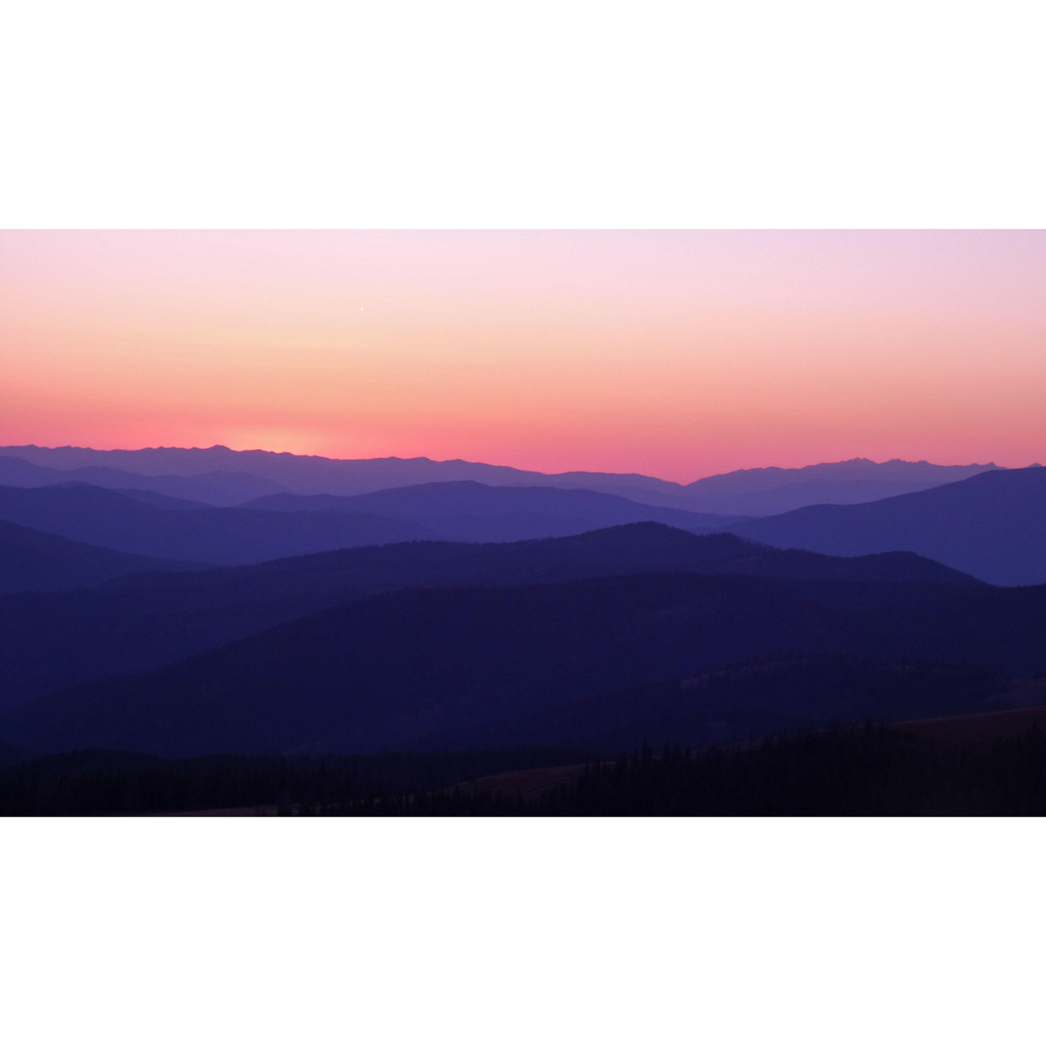 The sunset when he asked and she said "YES"