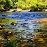 Ellijay River Outfitters