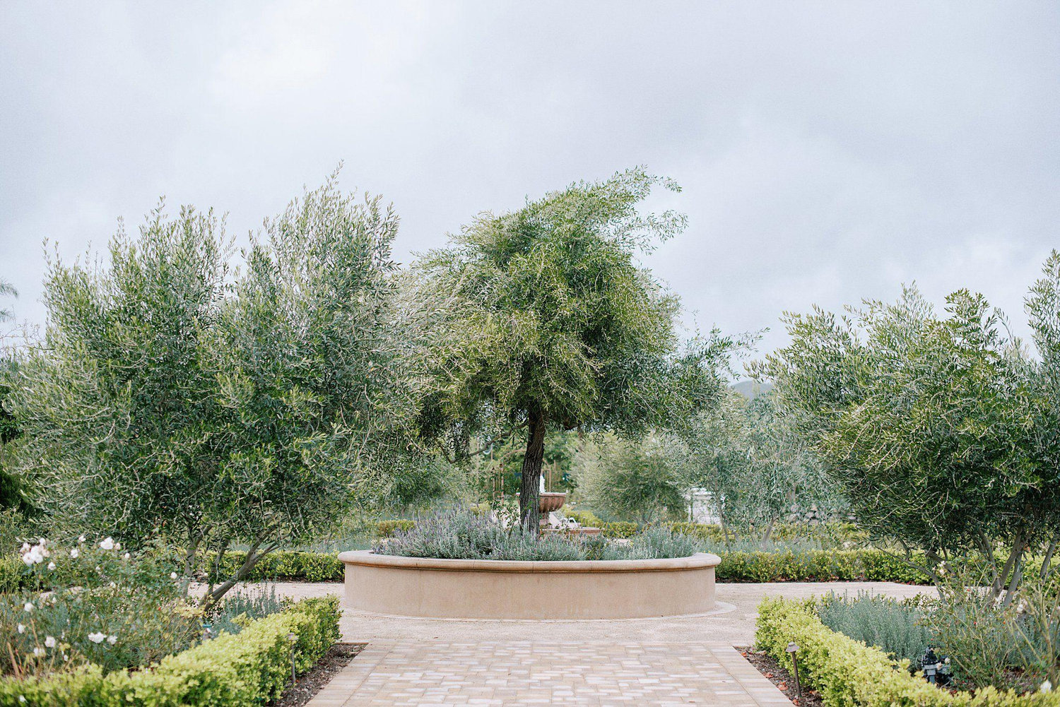The Wedding Website of Tanner Coley and Alexis Velasco
