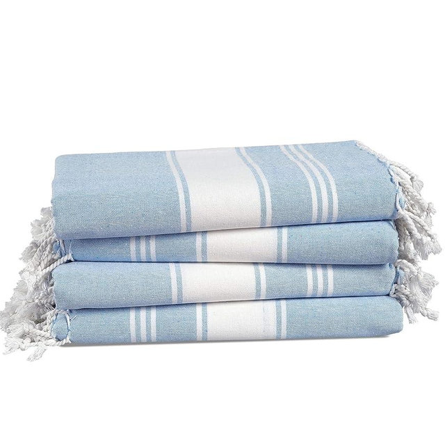 LANE LINEN Beach Towel 4 Pack, 100% Cotton Oversized Beach Towels for Adults, Lightweight Travel Beach Towels, Pre-Washed for Soft Hand Feel, Quick Dry Beach Towels, 39"x71" - Sky Blue