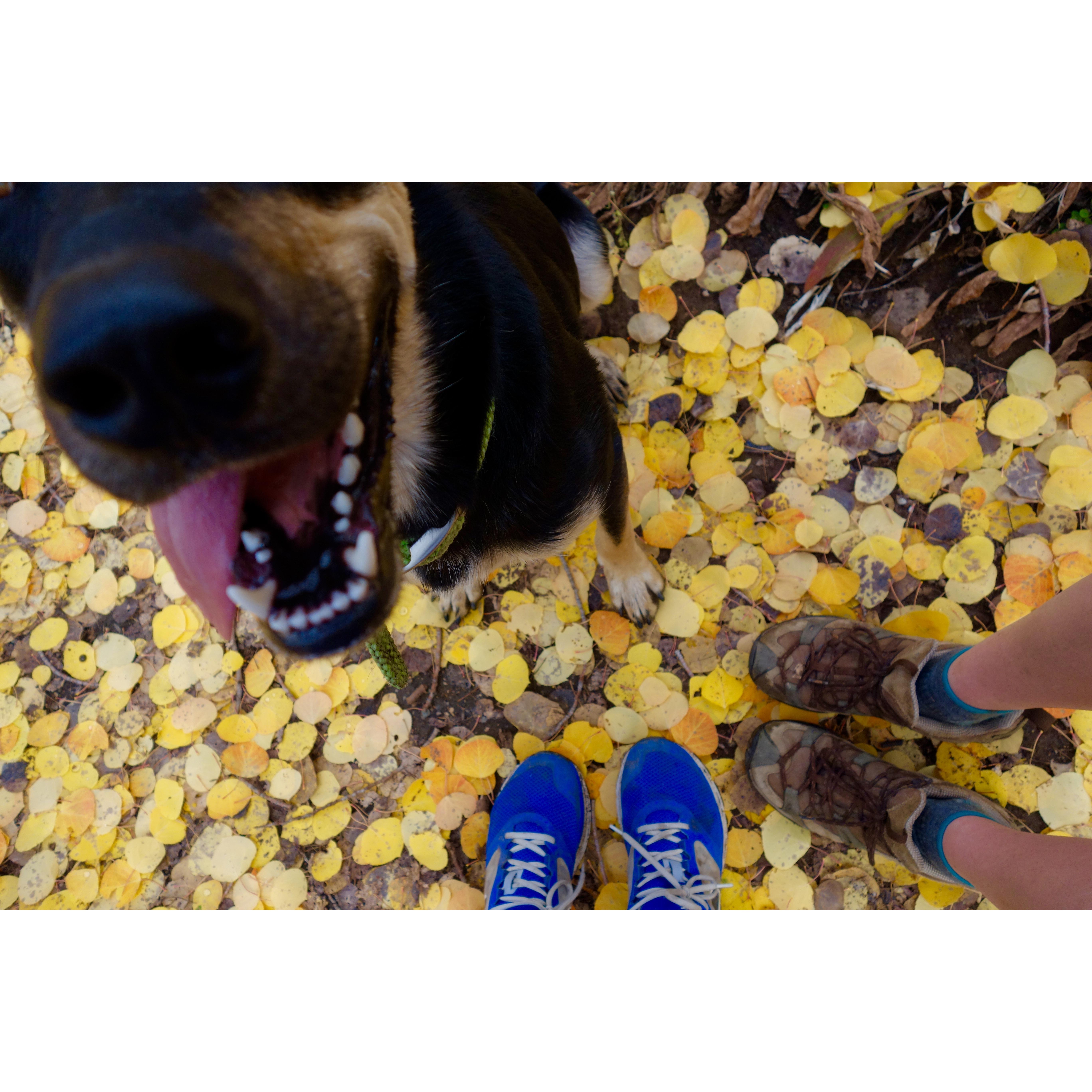 Fall in Leadville (2015)