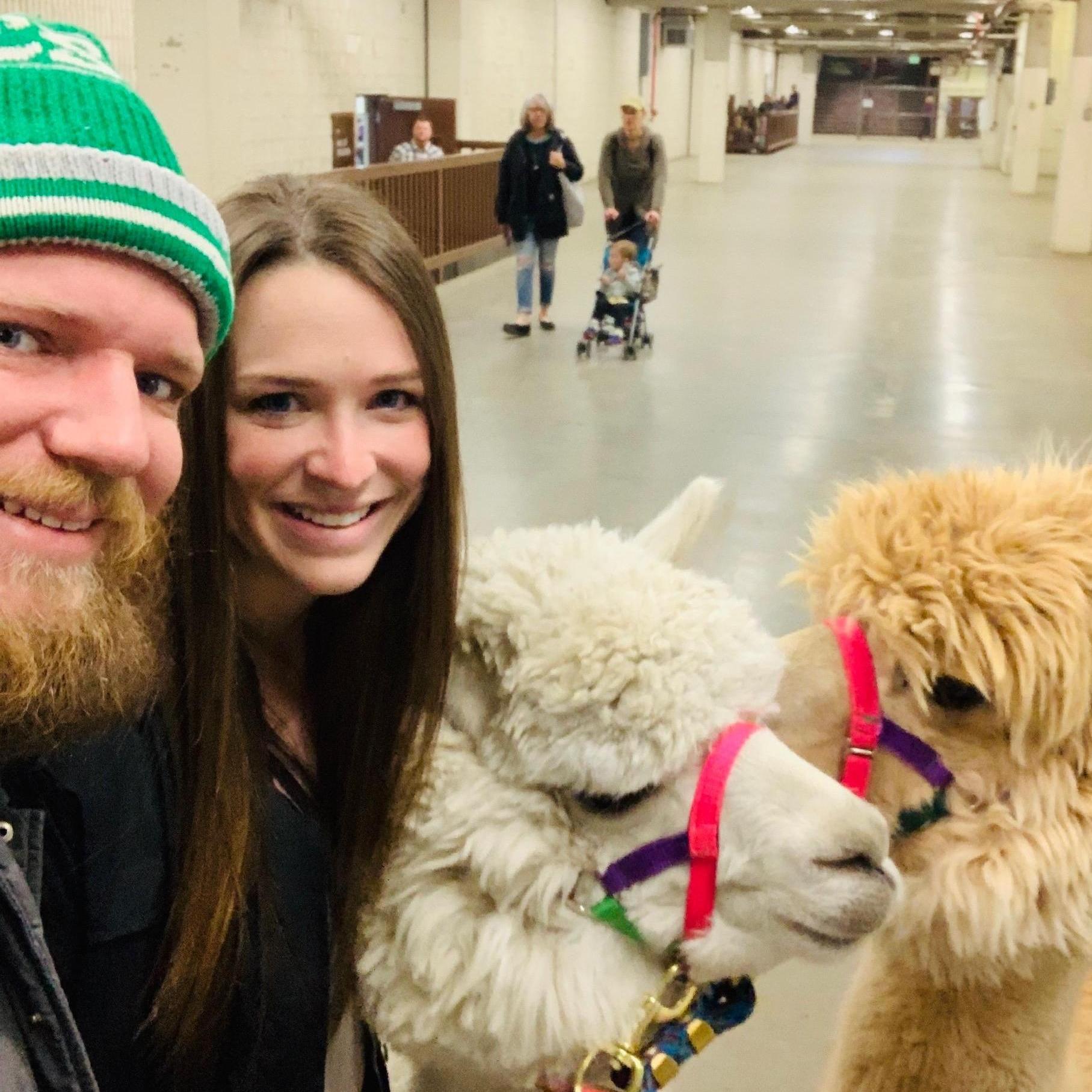 Great Western Alpaca Show - 3.17.19